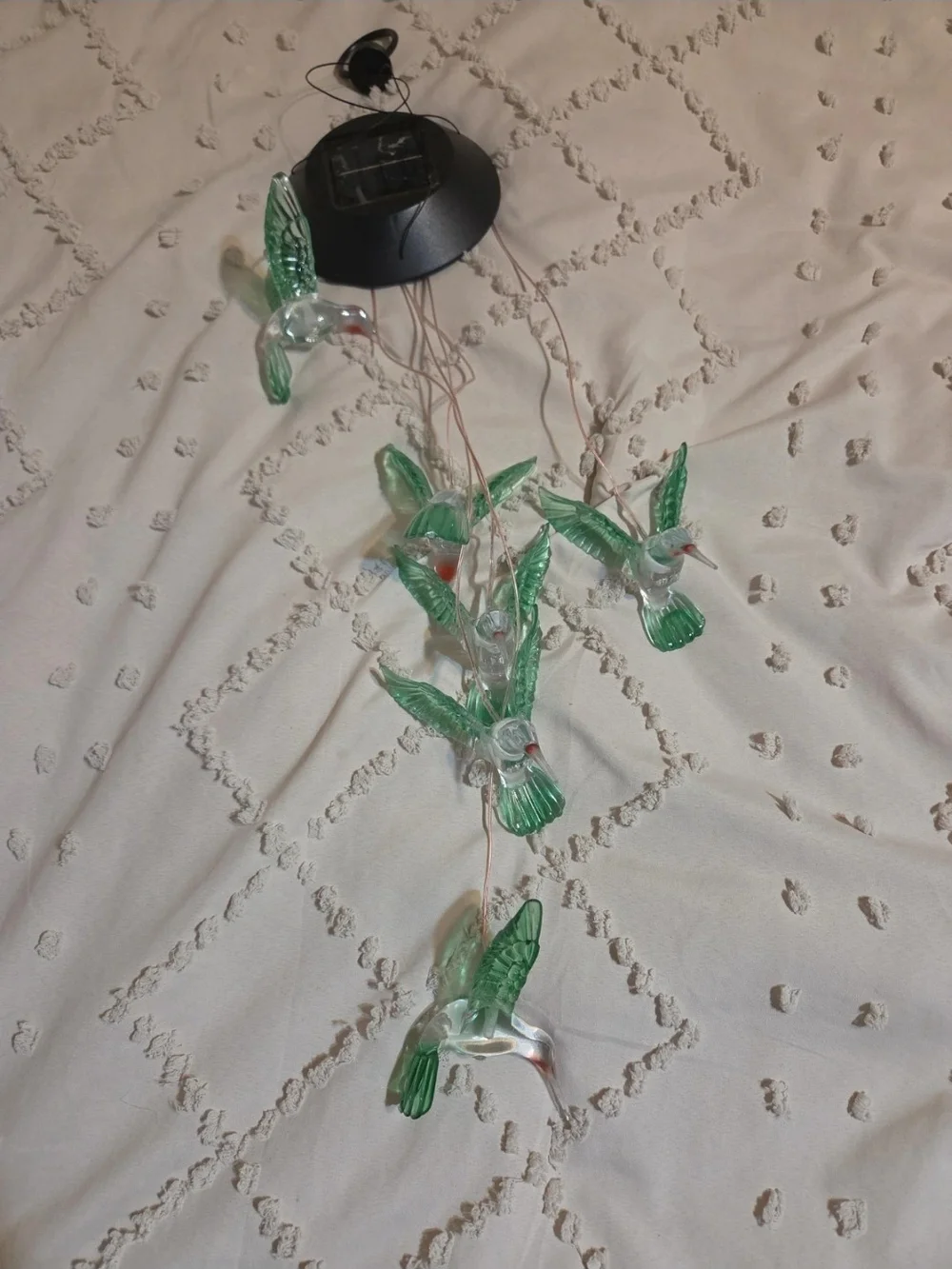 Amazon delicate green